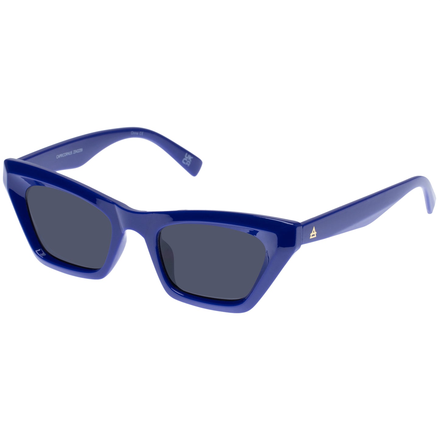 Aire Capricornus Sunglasses – Blue